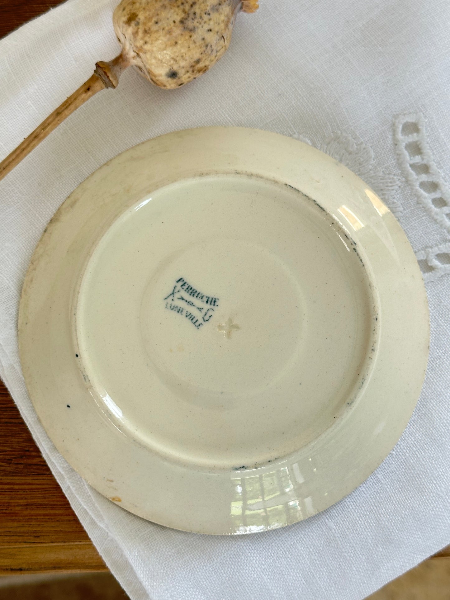 Petite coupelle Perruche KG Luneville