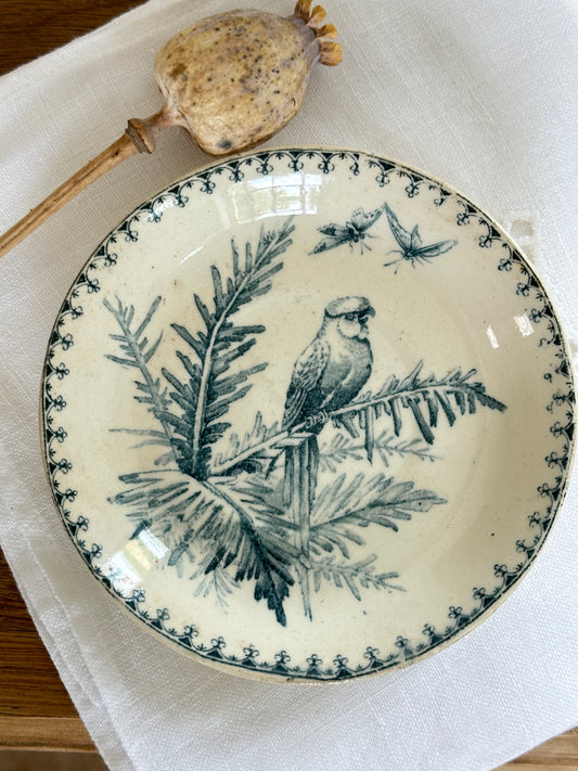 Petite coupelle Perruche KG Luneville